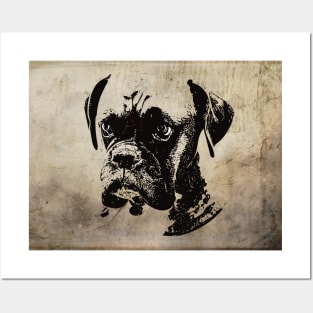 Boxer Dog Posters and Art